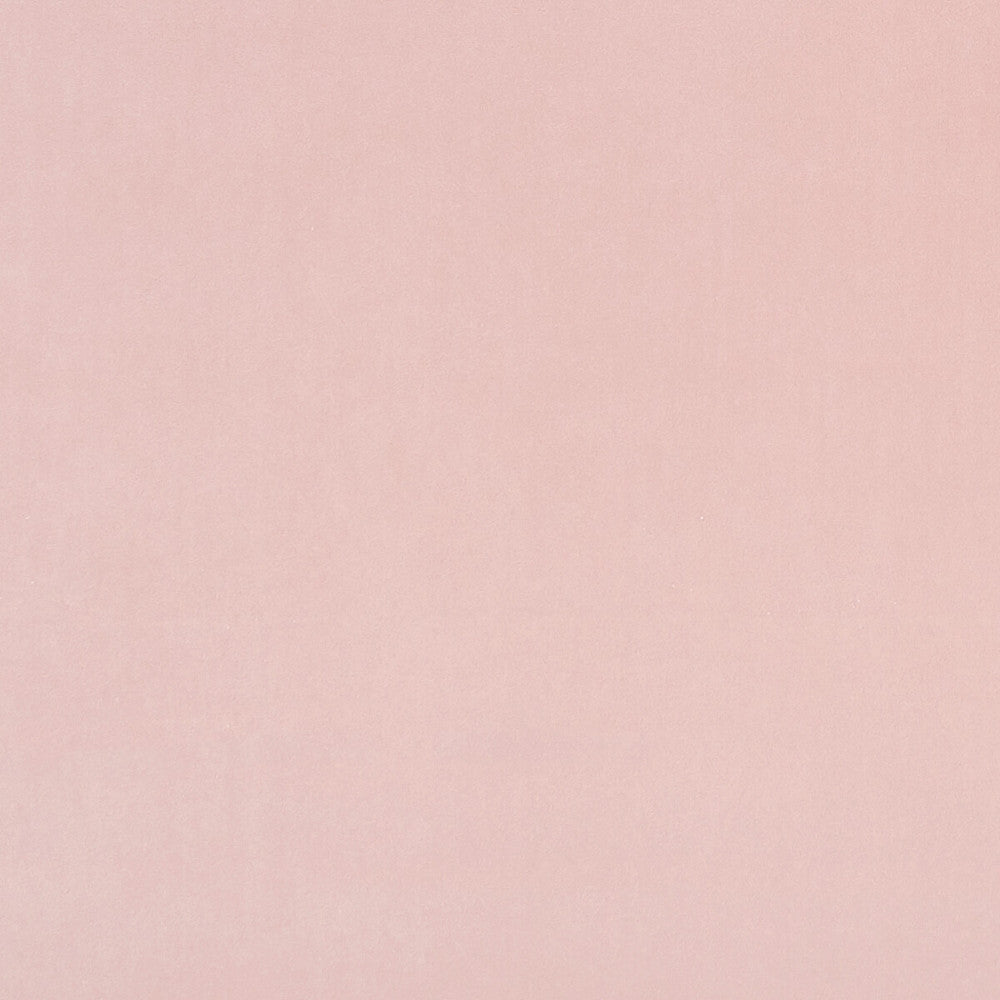 Alvar Petal by Clarke And Clarke Designer Fabric CLARKE & CLARKE ALVAR 2 POLYESTER - 100% China HEAVY Horizontal: 0 and Vertical: 0 56.75 - Swanky Fabrics -