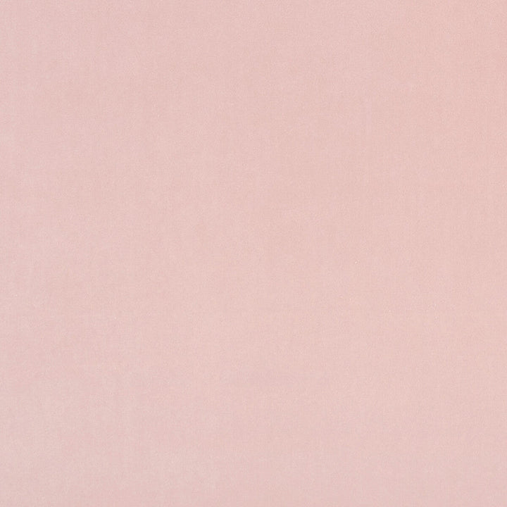 Alvar Petal by Clarke And Clarke Designer Fabric CLARKE & CLARKE ALVAR 2 POLYESTER - 100% China HEAVY Horizontal: 0 and Vertical: 0 56.75 - Swanky Fabrics -