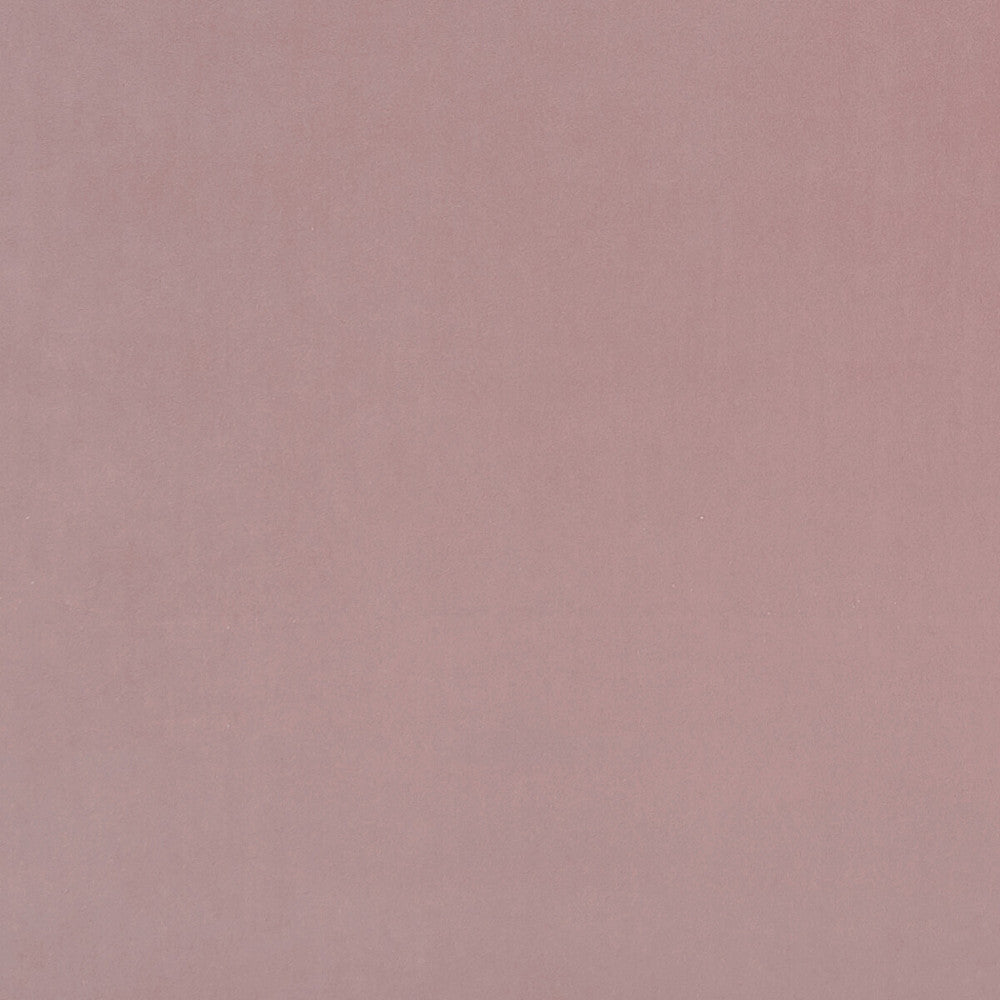 Alvar Quartz by Clarke And Clarke Fabric Clarke And Clarke Fabric Alvar QuartzFabric CLARKE & CLARKE ALVAR 2 POLYESTER - 100% China </p><p>Repeat: H: 0, V: 0 56.75 - Fabric Carolina -