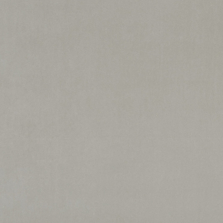 Alvar Roebuck by Clarke And Clarke Designer Fabric CLARKE & CLARKE ALVAR 2 POLYESTER - 100% China HEAVY Horizontal: 0 and Vertical: 0 56.75 - Swanky Fabrics -