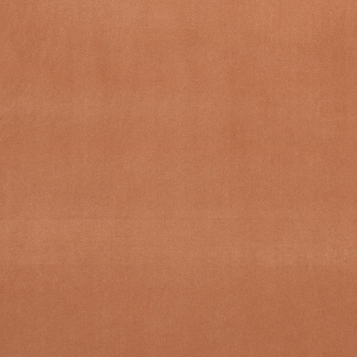 Alvar Tamarind by Clarke And Clarke Designer Fabric CLARKE & CLARKE ALVAR 2 POLYESTER - 100% China HEAVY Horizontal: 0 and Vertical: 0 56.75 - Swanky Fabrics -