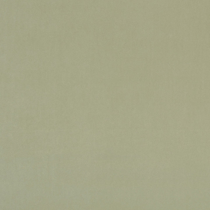 Alvar Thyme by Clarke And Clarke Designer Fabric CLARKE & CLARKE ALVAR 2 POLYESTER - 100% China HEAVY Horizontal: 0 and Vertical: 0 56.75 - Swanky Fabrics -