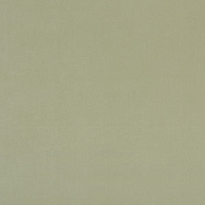 Clarke And Clarke Fabric Alvar Thyme