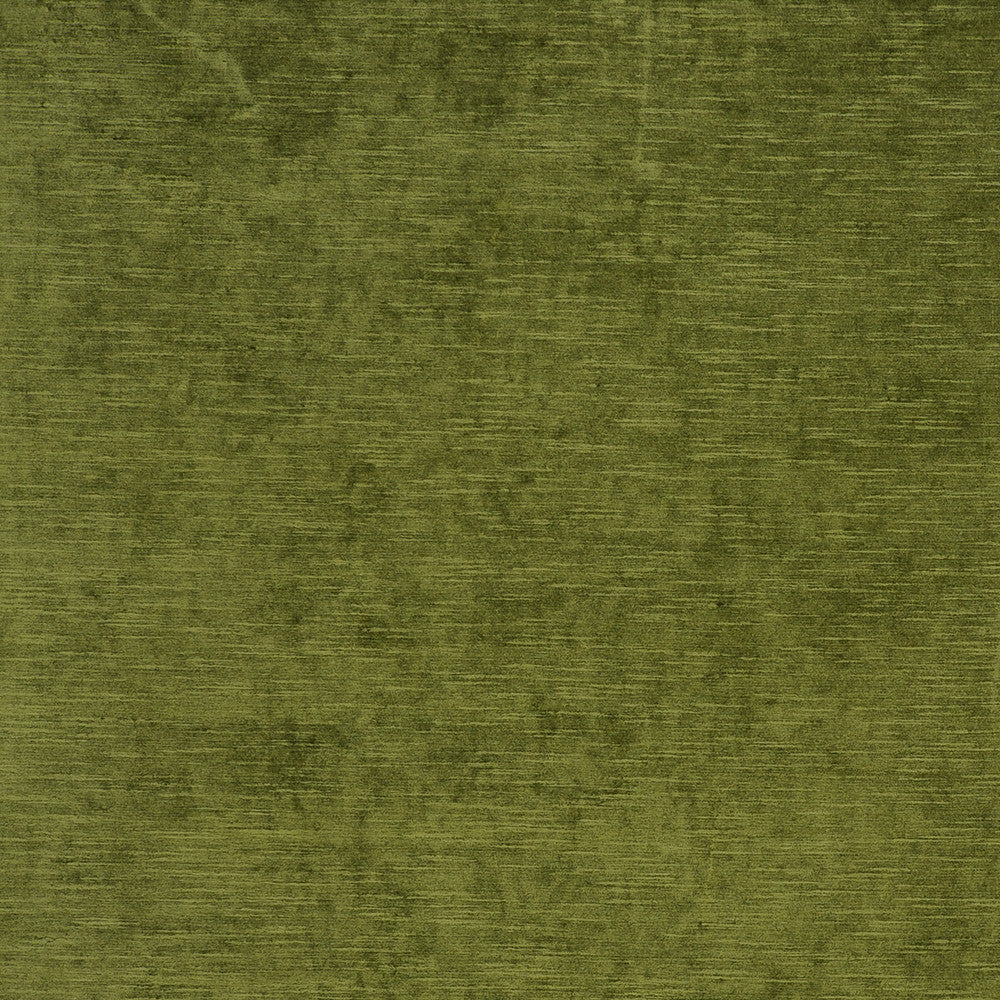 Carlo Olive by Clarke And Clarke Designer Fabric CLARKE & CLARKE PALLADIO VISCOSE - 70%;POLYESTER - 30% Turkey HEAVY Horizontal: 0 and Vertical: 0 54 - Swanky Fabrics -