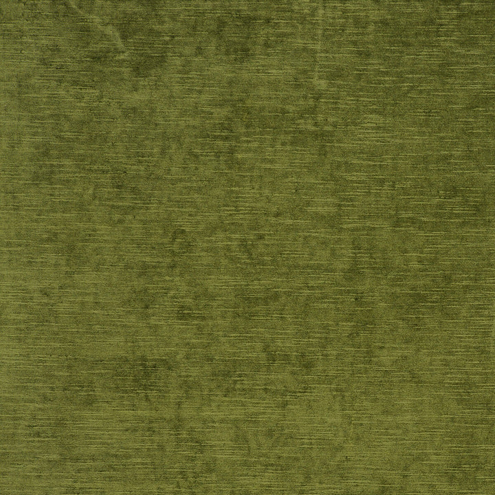 Carlo Olive by Clarke And Clarke Designer Fabric CLARKE & CLARKE PALLADIO VISCOSE - 70%;POLYESTER - 30% Turkey HEAVY Horizontal: 0 and Vertical: 0 54 - Swanky Fabrics -