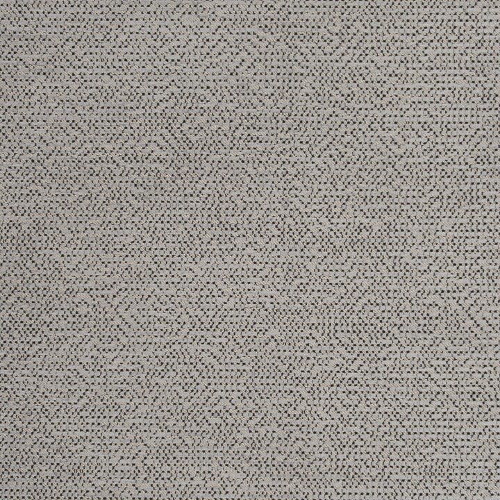 Beauvoir Charcoal by Clarke And Clarke Designer Fabric CLARKE & CLARKE LATOUR POLYESTER - 60%;VISCOSE - 35%;COTTON - 5% Turkey HEAVY Horizontal: 13.58 and Vertical: 19.29 56 - Swanky Fabrics -