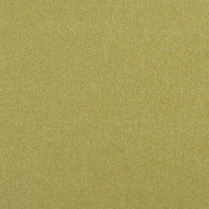Clarke And Clarke Fabric Highlander Fern