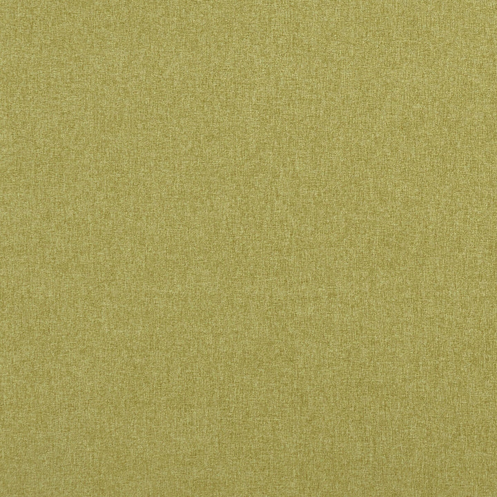 Highlander Fern by Clarke And Clarke Designer Fabric CLARKE & CLARKE HIGHLANDER POLYESTER - 100% China HEAVY Horizontal: 0 and Vertical: 0 57 - Swanky Fabrics -