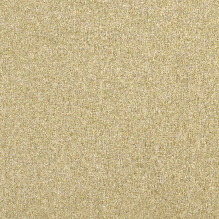Highlander Antique by Clarke And Clarke Designer Fabric CLARKE & CLARKE HIGHLANDER 2 POLYESTER - 100% China HEAVY Horizontal: 0 and Vertical: 0 57 - Swanky Fabrics -