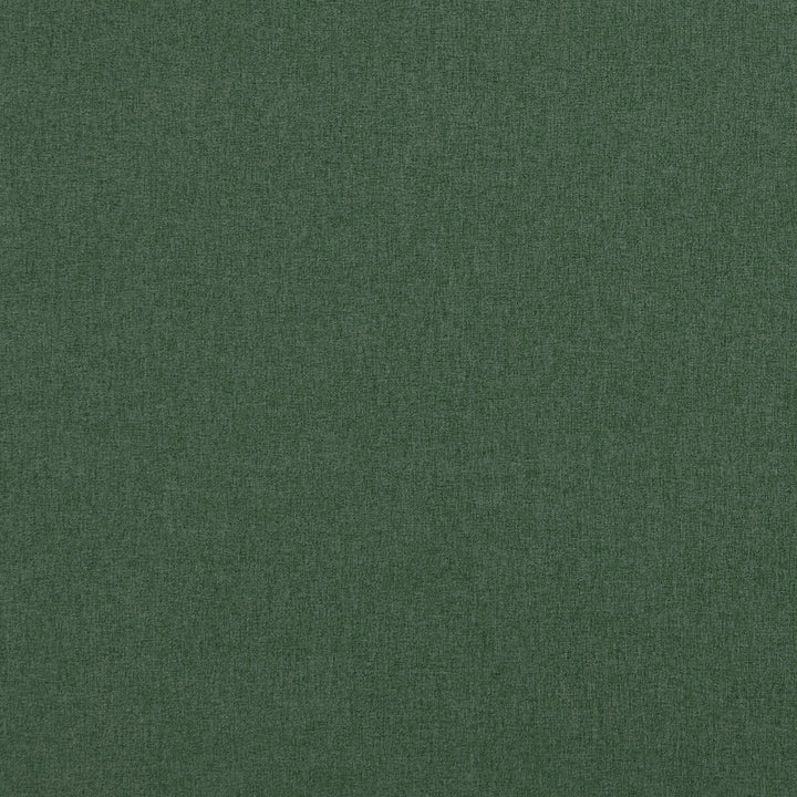 Highlander Forest by Clarke And Clarke Designer Fabric CLARKE & CLARKE HIGHLANDER 2 POLYESTER - 100% China HEAVY Horizontal: 0 and Vertical: 0 57 - Swanky Fabrics -