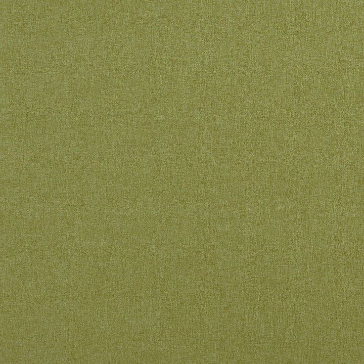 Highlander Leaf by Clarke And Clarke Designer Fabric CLARKE & CLARKE HIGHLANDER 2 POLYESTER - 100% China HEAVY Horizontal: 0 and Vertical: 0 57 - Swanky Fabrics -