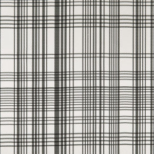 Clarke And Clarke Fabric Bw1006 Black/White