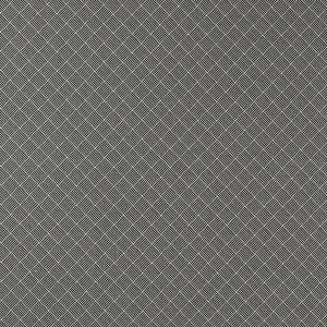 Clarke And Clarke Fabric Bw1031 Black/White