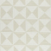 Clarke And Clarke Fabric Adisa Natural