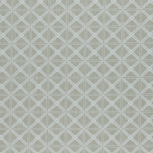 Clarke And Clarke Fabric Makenzi Natural