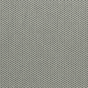 Clarke And Clarke Fabric Zalika Charcoal