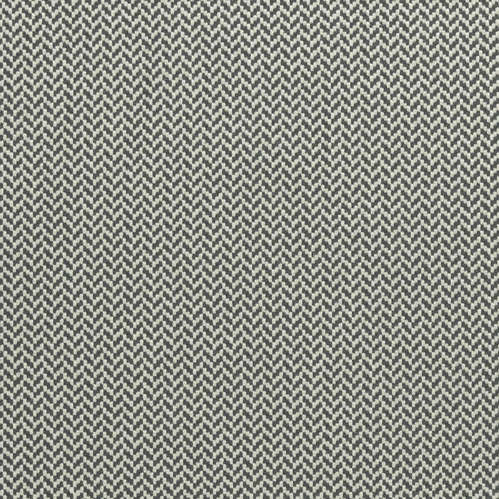 Zalika Charcoal by Clarke And Clarke Designer Fabric CLARKE & CLARKE AMARA COTTON - 97%;POLYESTER - 3% India HEAVY Horizontal: 0.43 and Vertical: 0.24 55 - Swanky Fabrics -