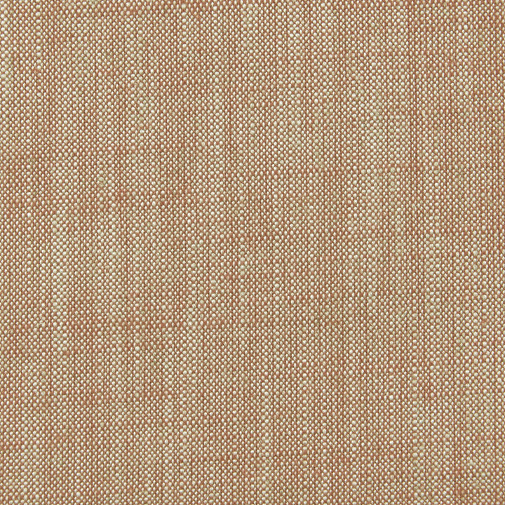 Biarritz Cinnamon by Clarke And Clarke Designer Fabric CLARKE & CLARKE BIARRITZ VISCOSE - 70%;LINEN - 30% India HEAVY Horizontal: 0 and Vertical: 0 55 - Swanky Fabrics -