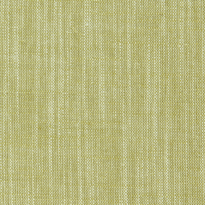 Biarritz Citrus by Clarke And Clarke Designer Fabric CLARKE & CLARKE BIARRITZ VISCOSE - 70%;LINEN - 30% India HEAVY Horizontal: 0 and Vertical: 0 55 - Swanky Fabrics -