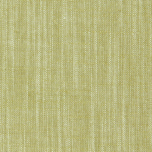 Clarke And Clarke Fabric Biarritz Citrus