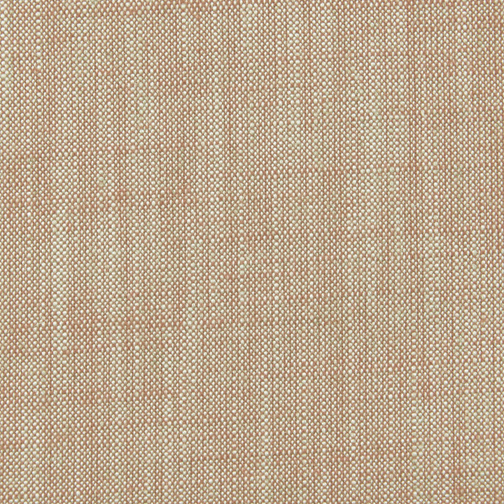 Biarritz Coral by Clarke And Clarke Designer Fabric CLARKE & CLARKE BIARRITZ VISCOSE - 70%;LINEN - 30% India HEAVY Horizontal: 0 and Vertical: 0 55 - Swanky Fabrics -