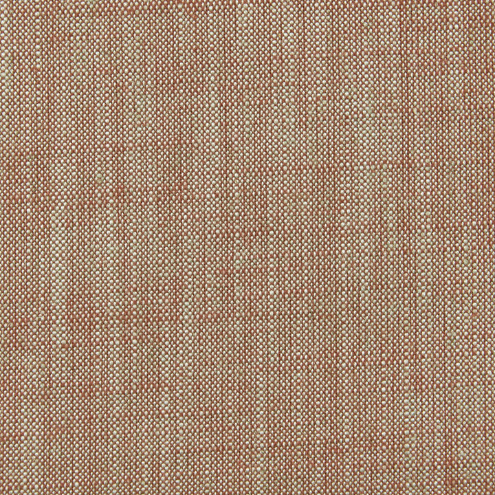 Biarritz Paprika by Clarke And Clarke Designer Fabric CLARKE & CLARKE BIARRITZ VISCOSE - 70%;LINEN - 30% India HEAVY Horizontal: 0 and Vertical: 0 55 - Swanky Fabrics -