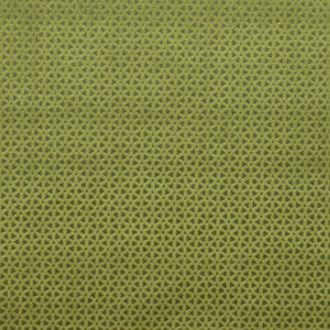 Clarke And Clarke Fabric Loreto Olive