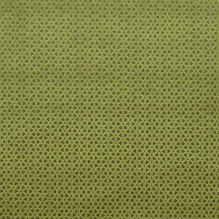 Loreto Olive by Clarke And Clarke Designer Fabric CLARKE & CLARKE LUSTRO POLYESTER - 100% China HEAVY Horizontal: 0.79 and Vertical: 0.39 55 - Swanky Fabrics -