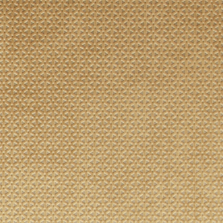Loreto Gold by Clarke And Clarke Fabric Clarke And Clarke Fabric Loreto GoldFabric CLARKE & CLARKE LUSTRO POLYESTER - 100% China </p><p>Repeat: H: 0.79, V: 0.39 55 - Fabric Carolina -