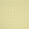 Clarke And Clarke Fabric Gotska Olive
