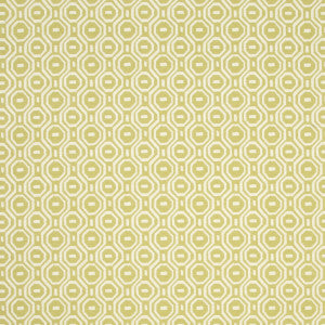 Clarke And Clarke Fabric Gotska Olive