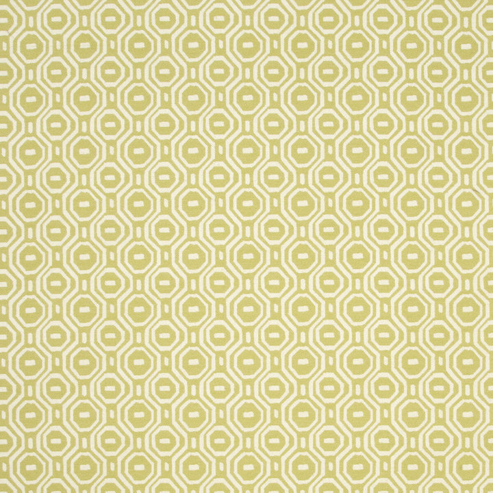 Gotska Olive by Clarke And Clarke Fabric Clarke And Clarke Fabric Gotska OliveFabric CLARKE & CLARKE WILDERNESS POLYESTER - 75%;COTTON - 25% India </p><p>Repeat: H: 3.35, V: 3.15 51 - Fabric Carolina -