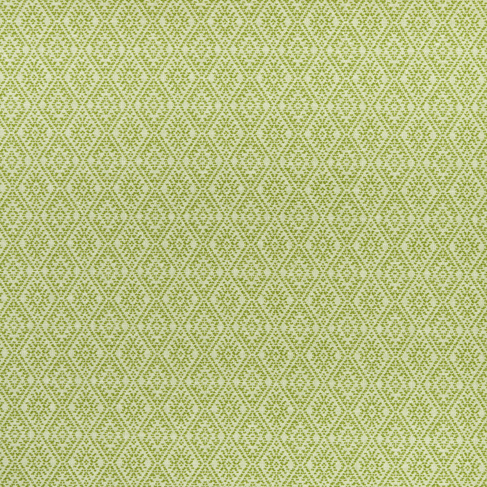 Hampstead Apple by Clarke And Clarke Designer Fabric CLARKE & CLARKE HALCYON COTTON - 64%;POLYESTER - 36% India MEDIUM Horizontal: 3.35 and Vertical: 3.94 54 - Swanky Fabrics -