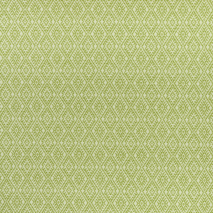 Hampstead Apple by Clarke And Clarke Designer Fabric CLARKE & CLARKE HALCYON COTTON - 64%;POLYESTER - 36% India MEDIUM Horizontal: 3.35 and Vertical: 3.94 54 - Swanky Fabrics -