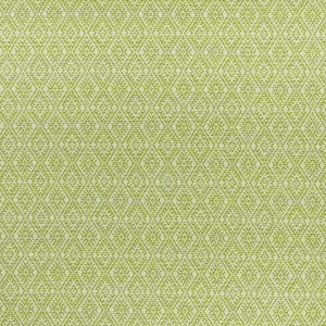 Clarke And Clarke Fabric Hampstead Apple