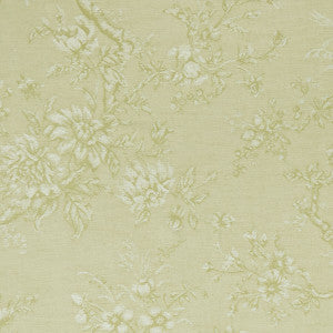 Clarke And Clarke Fabric Simone Citron