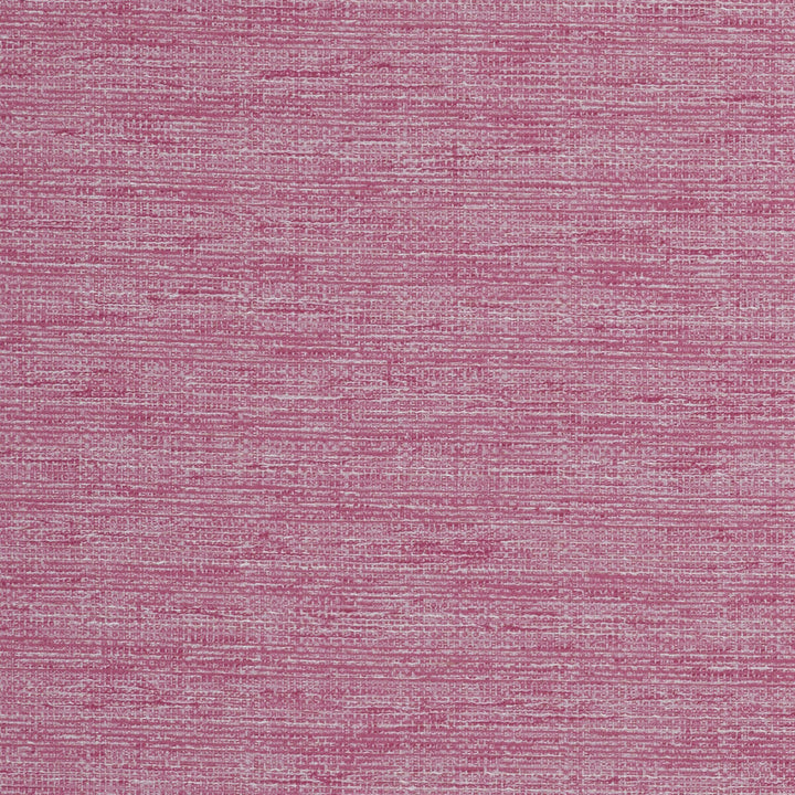 Aldo Raspberry by Clarke And Clarke Fabric Clarke And Clarke Fabric Aldo RaspberryFabric CLARKE & CLARKE DELTA POLYESTER - 53%;COTTON - 47% India </p><p>Repeat: H: 0, V: 0 54 - Fabric Carolina -