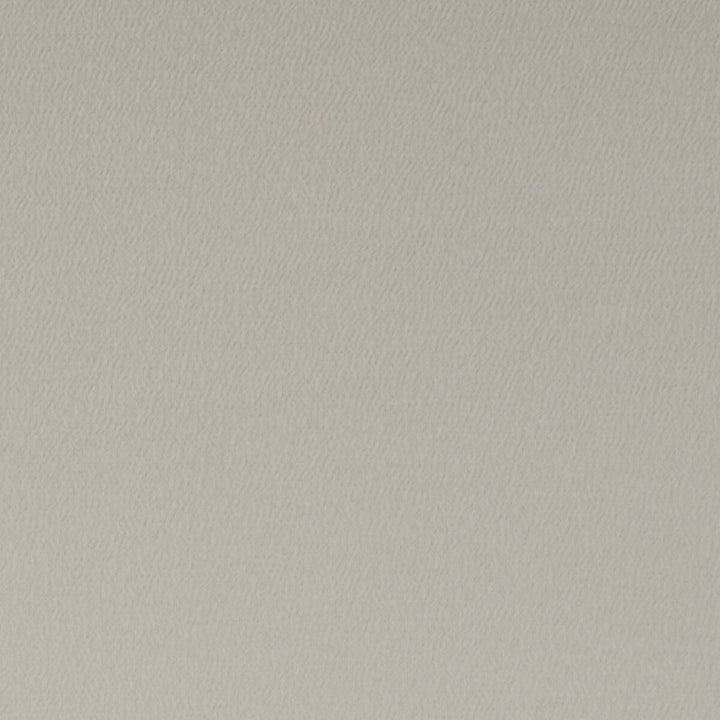 Spectrum Mushroom by Clarke And Clarke Designer Fabric CLARKE & CLARKE SPECTRUM POLYESTER - 54%;COTTON - 46% India HEAVY Horizontal: and Vertical: 54 - Swanky Fabrics -