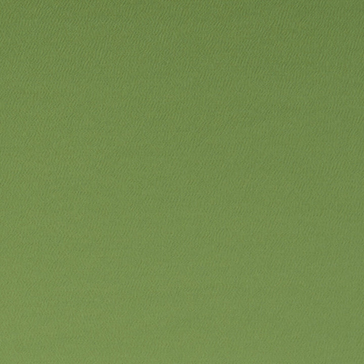 Spectrum Oregano by Clarke And Clarke Designer Fabric CLARKE & CLARKE SPECTRUM POLYESTER - 54%;COTTON - 46% India HEAVY Horizontal: - and Vertical: - 54 - Swanky Fabrics -