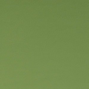 Clarke And Clarke Fabric Spectrum Oregano
