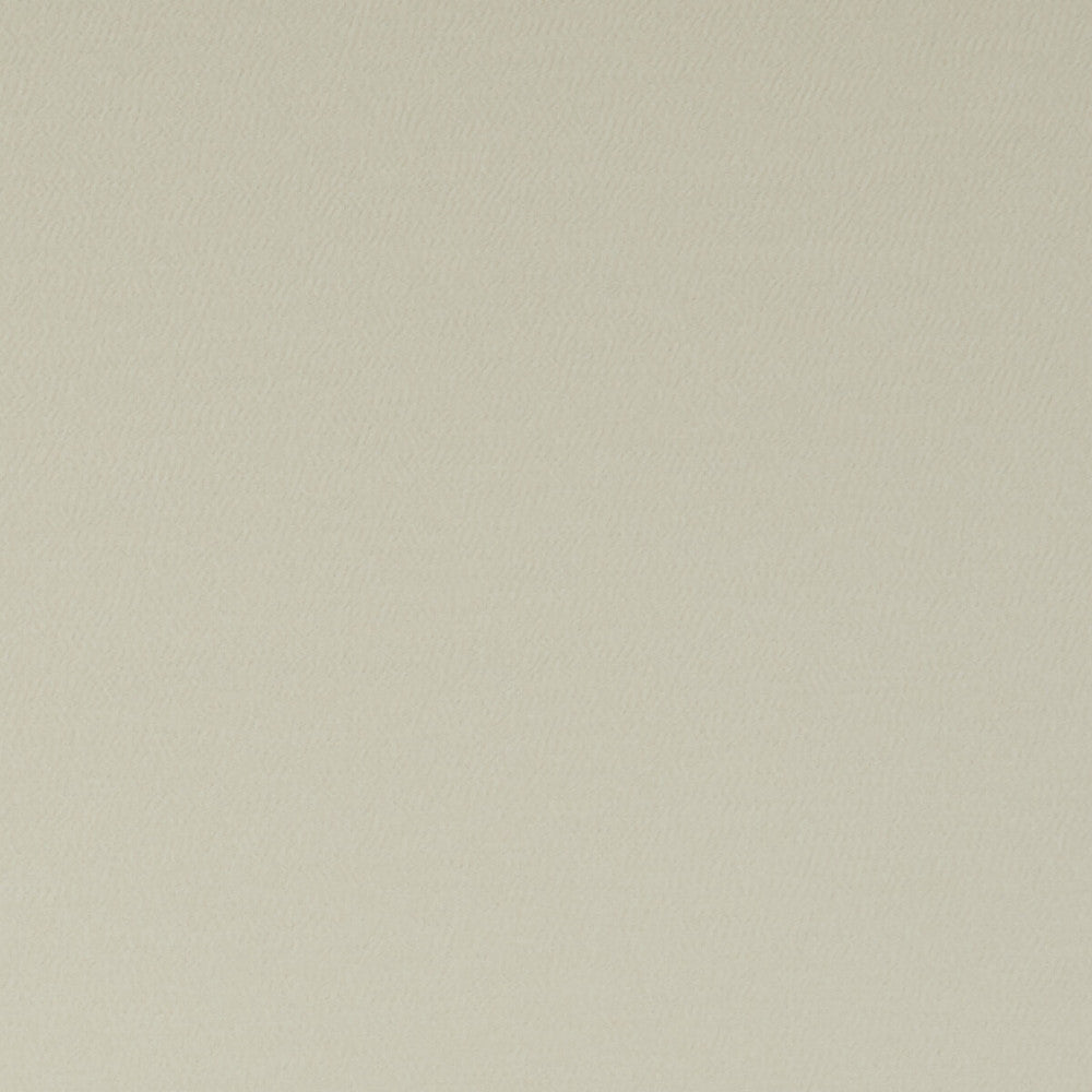 Spectrum Parchment by Clarke And Clarke Designer Fabric CLARKE & CLARKE SPECTRUM POLYESTER - 54%;COTTON - 46% India HEAVY Horizontal: - and Vertical: - 54 - Swanky Fabrics -
