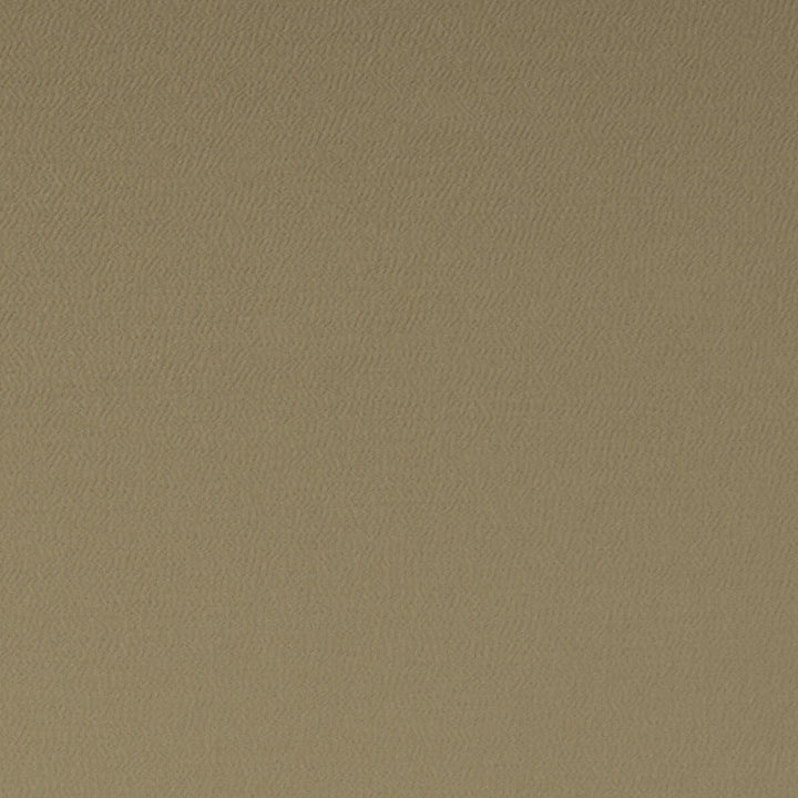 Spectrum Pecan by Clarke And Clarke Designer Fabric CLARKE & CLARKE SPECTRUM POLYESTER - 54%;COTTON - 46% India HEAVY Horizontal: and Vertical: 54 - Swanky Fabrics -