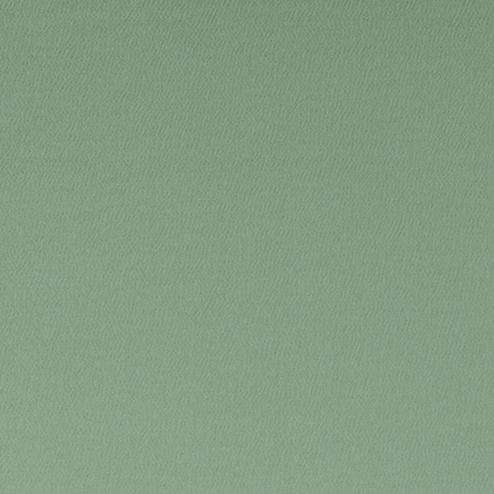 Spectrum Thyme by Clarke And Clarke Designer Fabric CLARKE & CLARKE SPECTRUM POLYESTER - 54%;COTTON - 46% India HEAVY Horizontal: - and Vertical: - 54 - Swanky Fabrics -