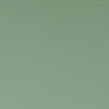 Clarke And Clarke Fabric Spectrum Thyme