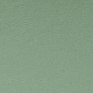 Clarke And Clarke Fabric Spectrum Thyme