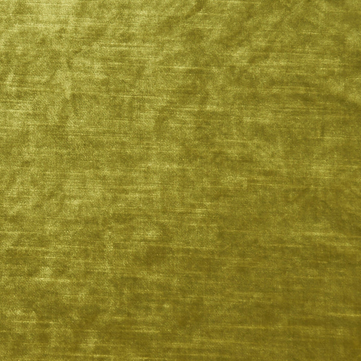 Allure Chartreuse by Clarke And Clarke Designer Fabric CLARKE & CLARKE ALLURE POLYESTER - 100% India HEAVY Horizontal: 0 and Vertical: 0 57 - Swanky Fabrics -