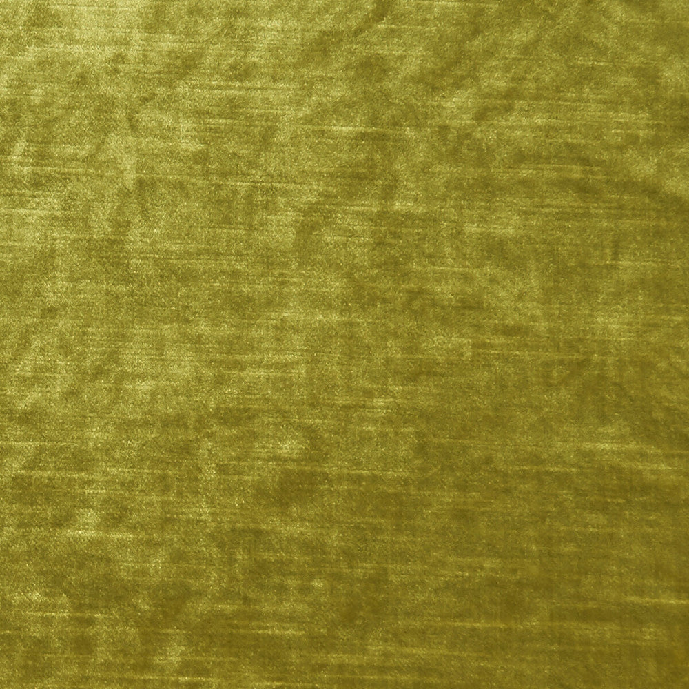 Allure Chartreuse by Clarke And Clarke Designer Fabric CLARKE & CLARKE ALLURE POLYESTER - 100% India HEAVY Horizontal: 0 and Vertical: 0 57 - Swanky Fabrics -