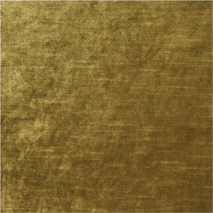 Allure Gold by Clarke And Clarke Designer Fabric CLARKE & CLARKE ALLURE POLYESTER - 100% India HEAVY Horizontal: 0 and Vertical: 0 57 - Swanky Fabrics -
