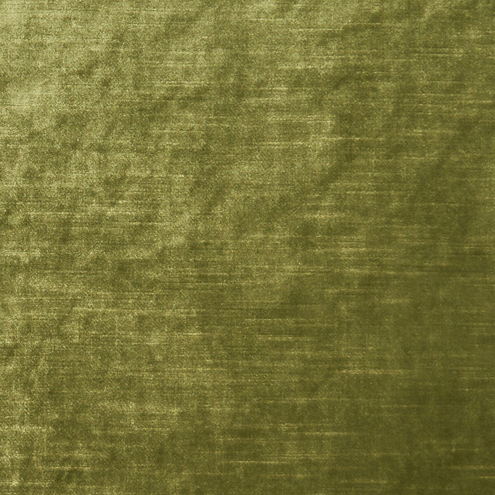 Allure Moss by Clarke And Clarke Designer Fabric CLARKE & CLARKE ALLURE POLYESTER - 100% India HEAVY Horizontal: 0 and Vertical: 0 57 - Swanky Fabrics -