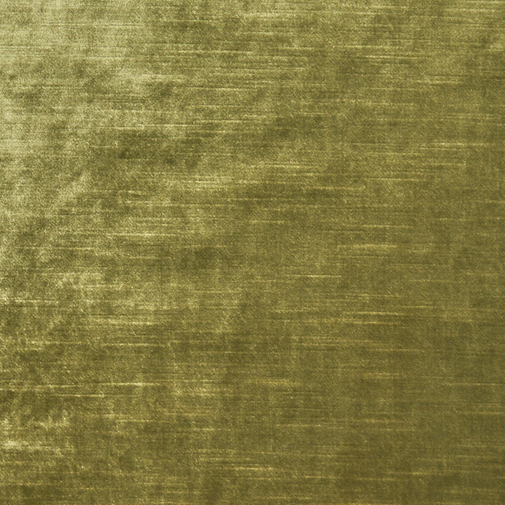 Allure Olive by Clarke And Clarke Fabric Clarke And Clarke Fabric Allure OliveFabric CLARKE & CLARKE ALLURE POLYESTER - 100% India </p><p>Repeat: H: 0, V: 0 57 - Fabric Carolina -